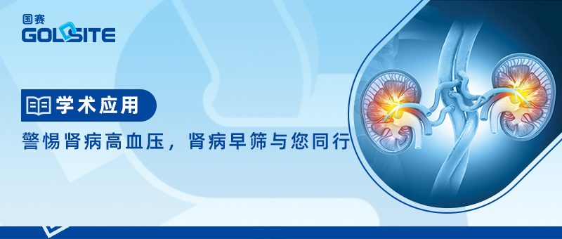 警惕腎病高血壓,腎病早篩與您同行