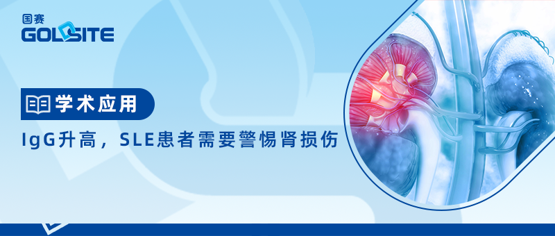 IgG升高,SLE患者需要警惕腎損傷