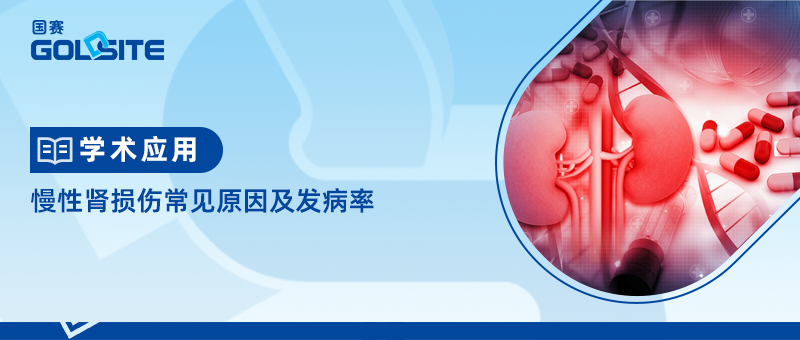 慢性腎損傷常見原因及發(fā)病率