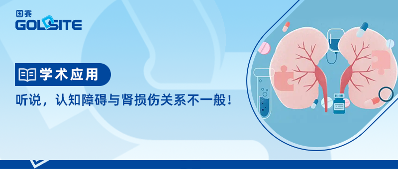 聽說,認(rèn)知障礙與腎損傷關(guān)系不一般!