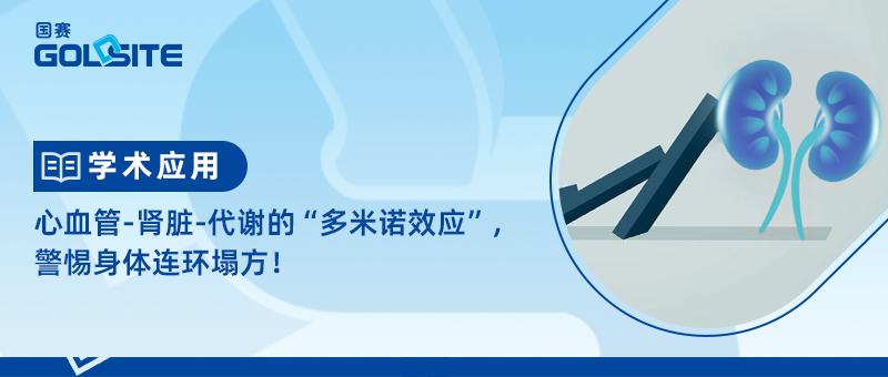 心血管-腎臟-代謝的“多米諾效應(yīng)”,警惕身體連環(huán)塌方!